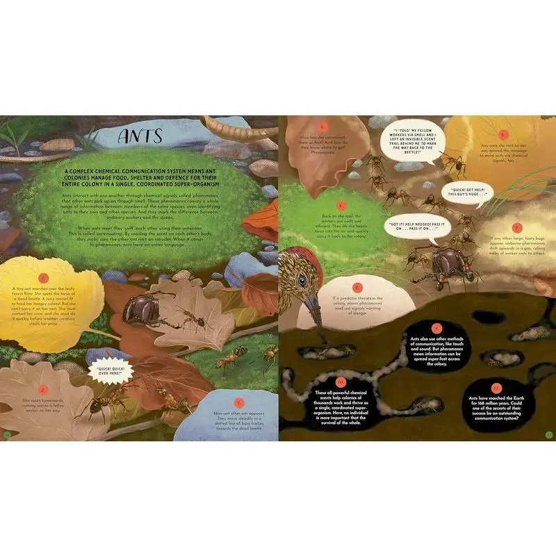 اللغات البرية من طبيعة الأم 48 قصة عن كيف تتواصل الطبيعة 48 قصة عن كيف تتواصل الطبيعة 9780711288478