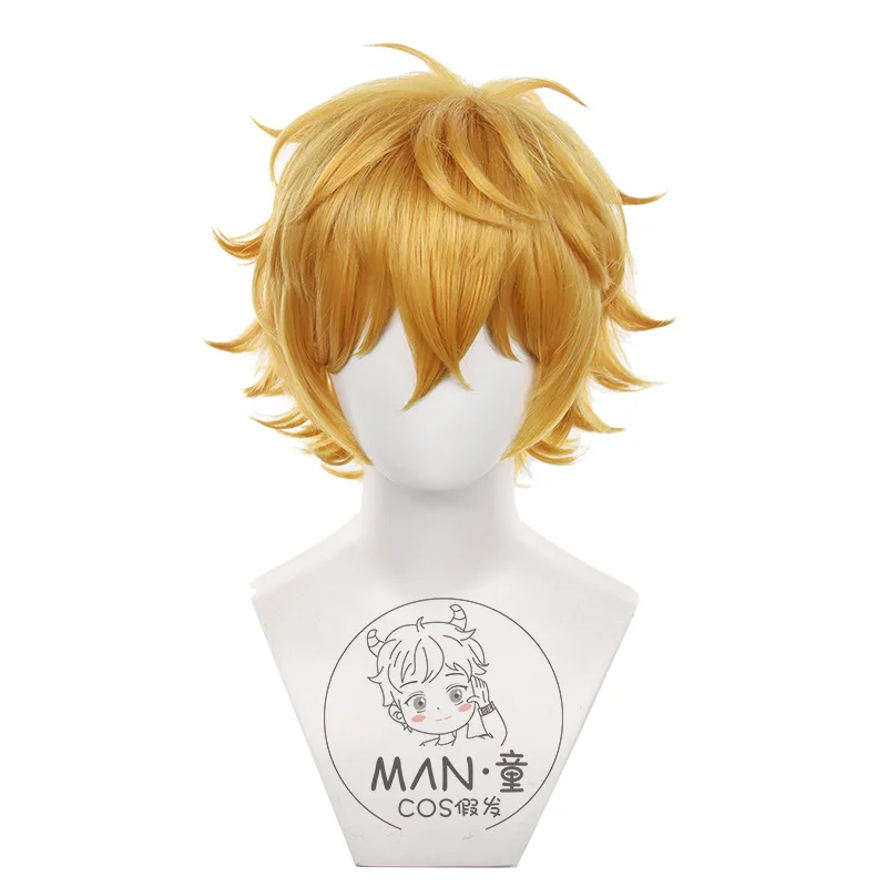 Perruque de Cosplay Yui Akiteru brise-vent Bofuri garçon cheveux courts Halloween