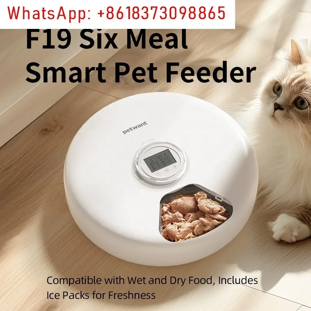 

Six Meals Automatic Cat Feeder 1200ml Wet and Dry Food Pet Bowl Feeder Strap