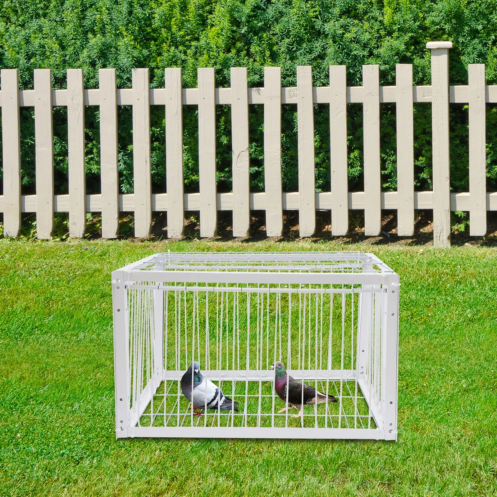 

Pigeon Trap Cage One-Way Entrance Escape-Proof Design Portable Easy Assembly Ideal Pigeon Coop and Bird Trap Cage, White