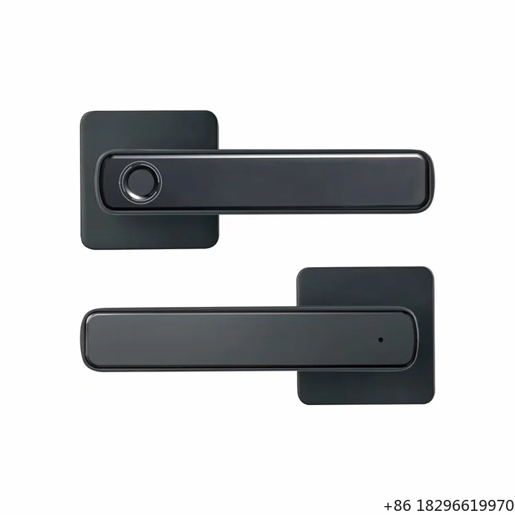 Intelligent Digital Fingerprint Lever Handle Lock  App Keyless Entry Interior Bedroom Electronic  Ble APP Smart Lock