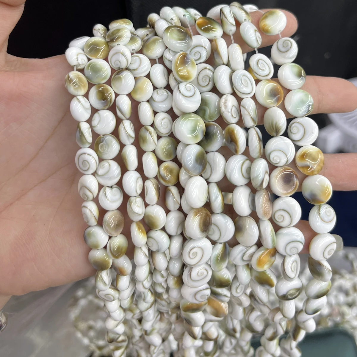 

8/10mm Natural Shell Conch Strand Beads Round Disc-shaped Semi-finished Beads for Jewelry Making DIY Necklace Bracelet Accessory