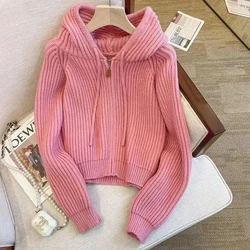 2024 Spring Autumn New Sweater Cardigan Jacket Women  Hooded Zipper Loose knitted Sweater Coat Female Casual Short Outerwear