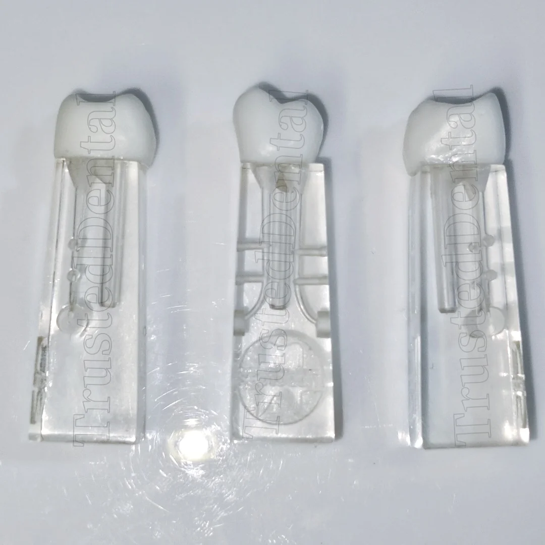 

1pc Dental RCT Files Practise Molar Block File Block Fits Woodpecker Endo Motor Ebdo Block