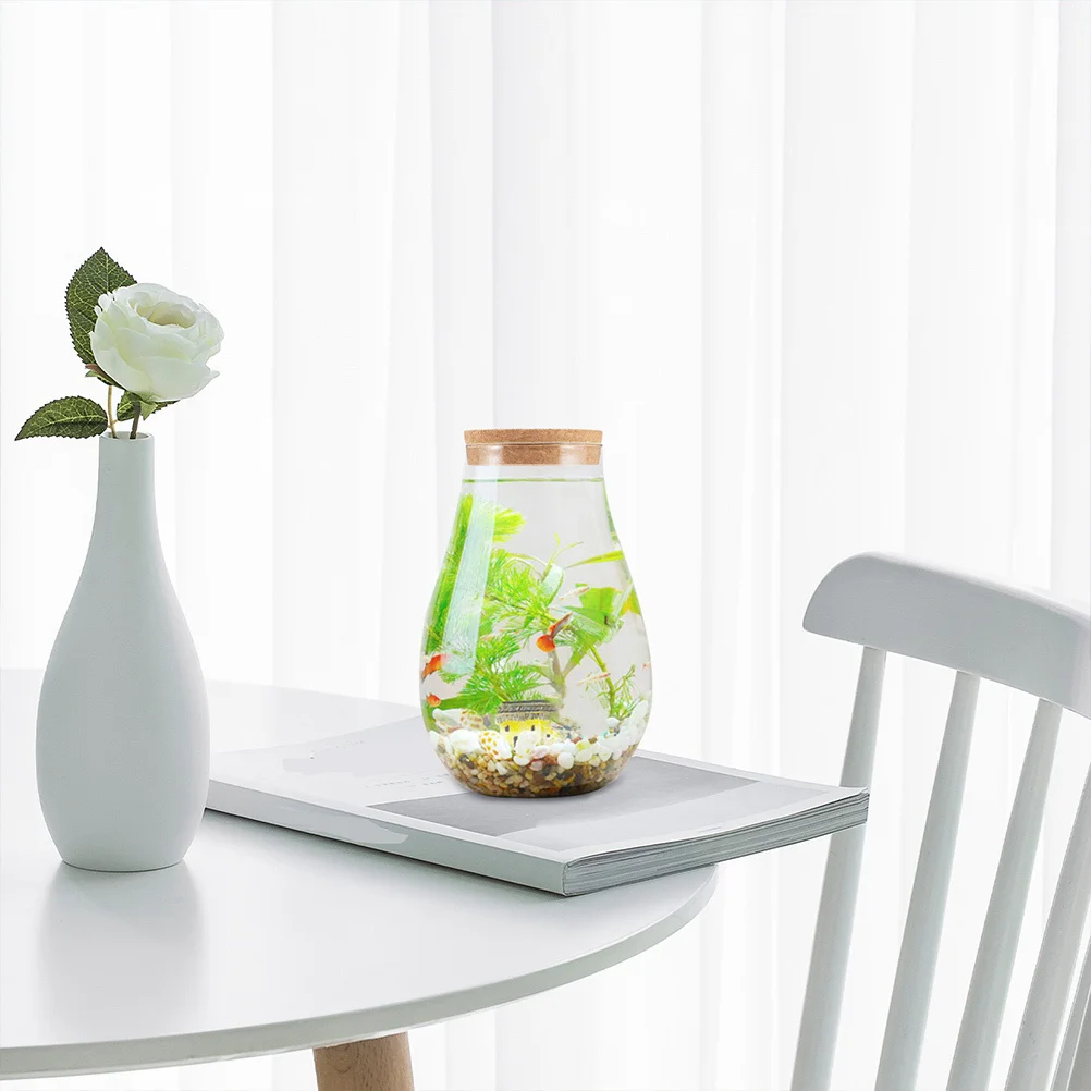 

2Pcs Glass Ecological Bottle Moss Terrarium DIY Planter Bottle with Cork Stopper for Home Garden Decor Small Landscape Container