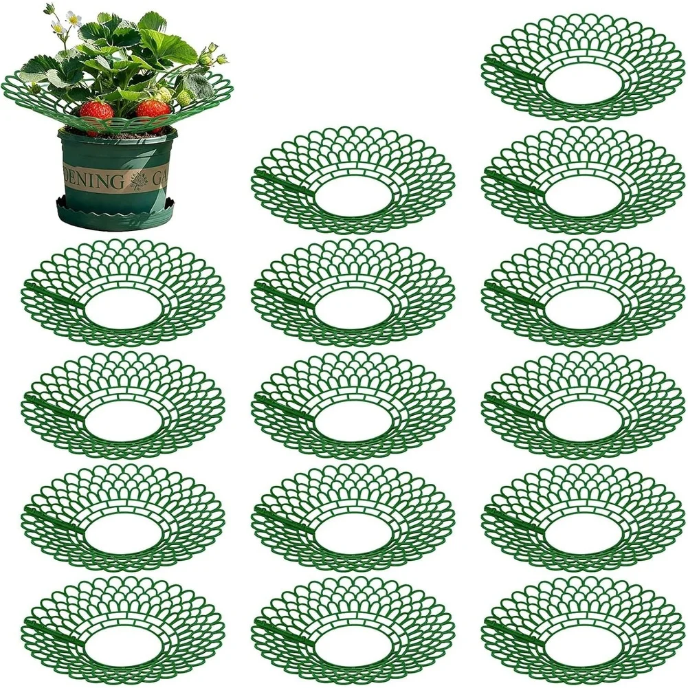 Garden Plant Trellis Strawberry Support Stand For Strawberry Harvesting 23.5*23.5*4cm Plant Holder Elevated Plant System