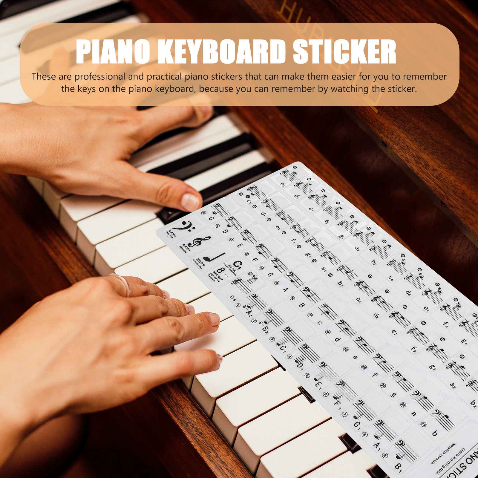 

Piano Stickers Simple Keyboard Keyboards Decals Removable Note Label for Beginner