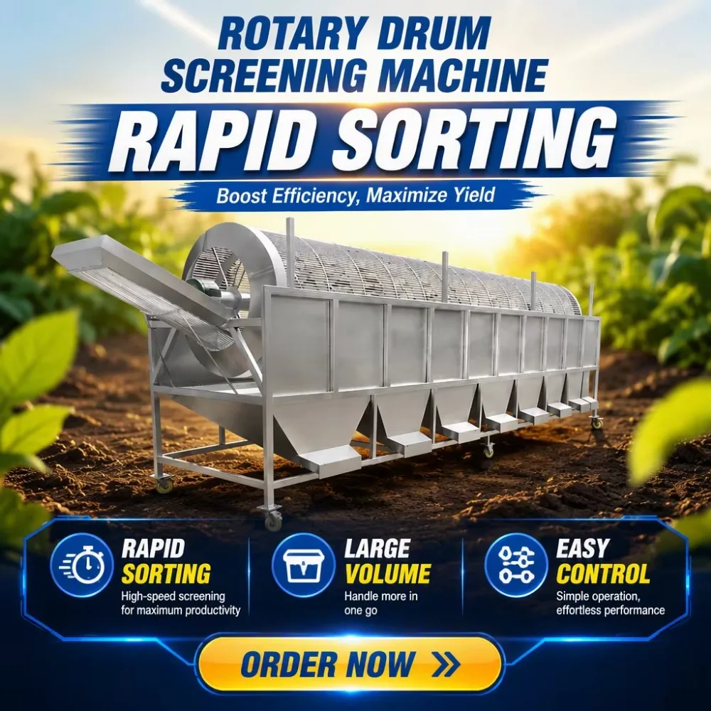 Fruit & Vegetable Grading Sorter Machine for Fruit Processing Plants 380/220V 3.0kW
