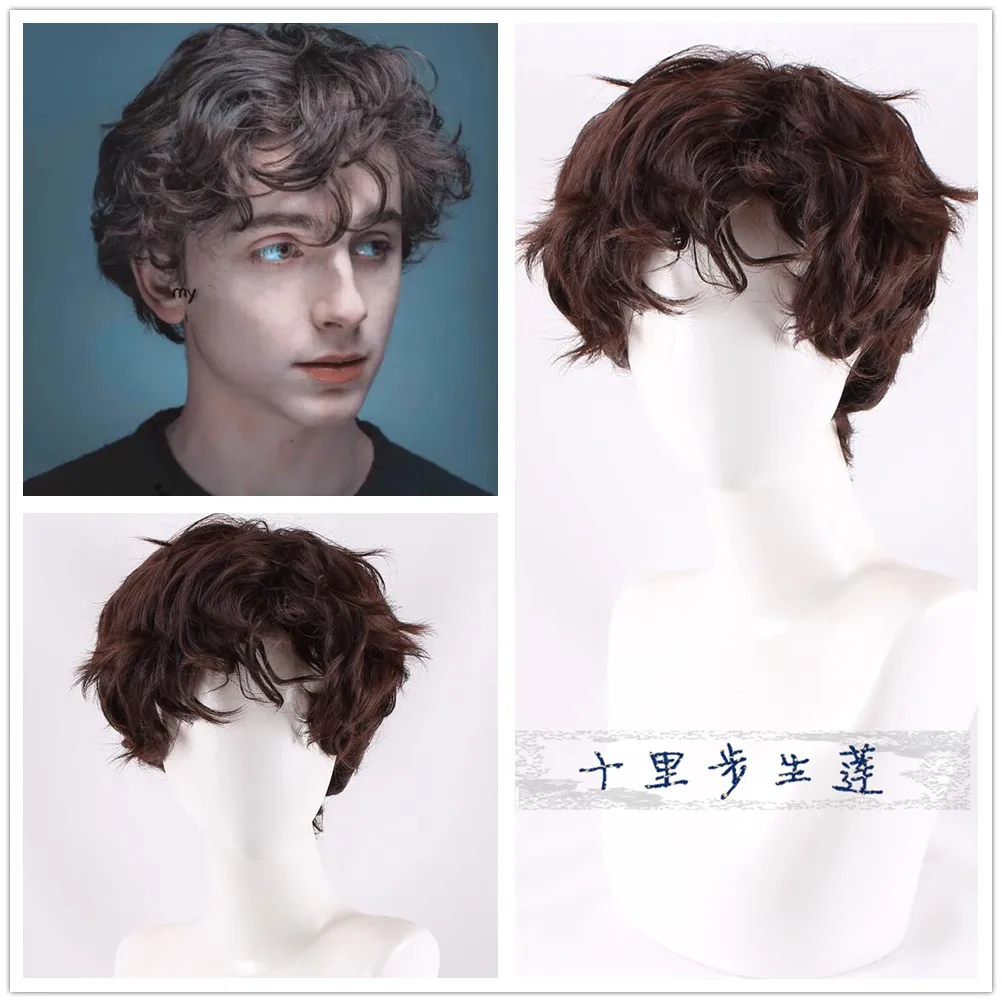 

Harajuku Short Brown Curly Synthetic Hair Tender Gentleman Wig Lolita Men's Cosplay Costume Wigs + Wig Cap