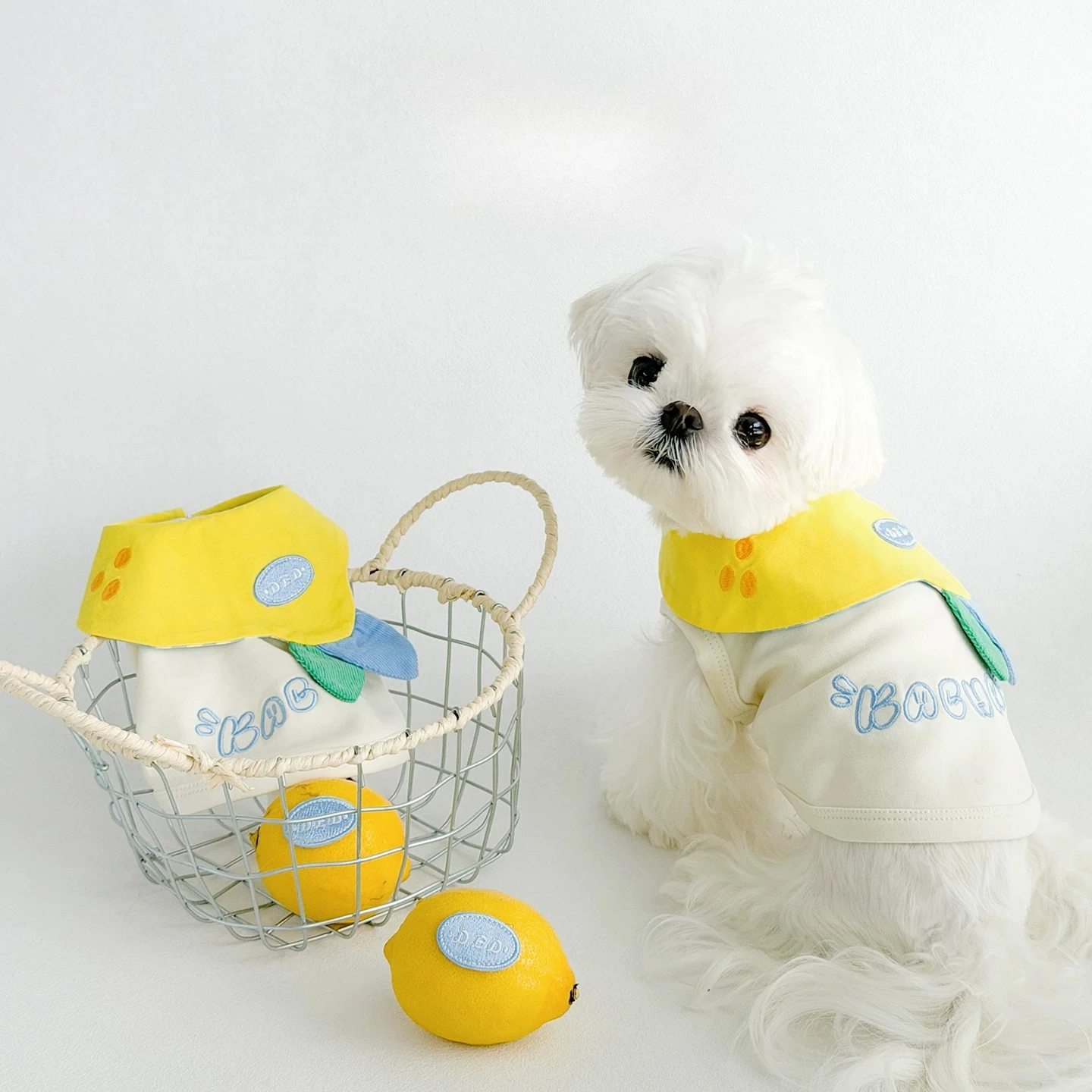 Ropa de verano para cachorros, chaleco sin mangas con diseño de limón para perros pequeños y medianos, ropa para mascotas, camisa, chaleco