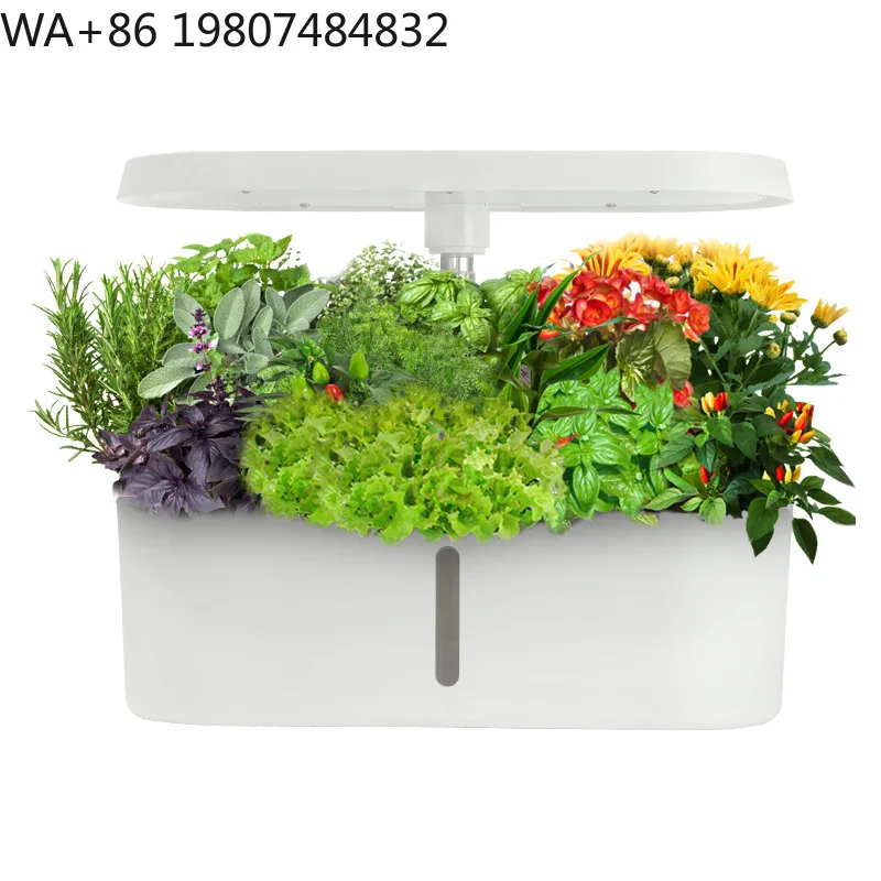Kitchen Countertop Soilless Cultivation Container Height Adjustable LED Fill Light Mini Indoor Hydroponic Starter Kit For Herb