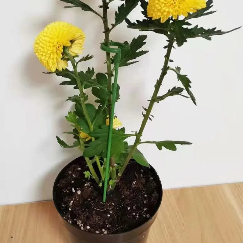10pcs 27cm Horticultural Flower Stand Bracket, Potted Plant Flower Shape Support Rod, Fixed Anti Lodging Leaf Guard Frame