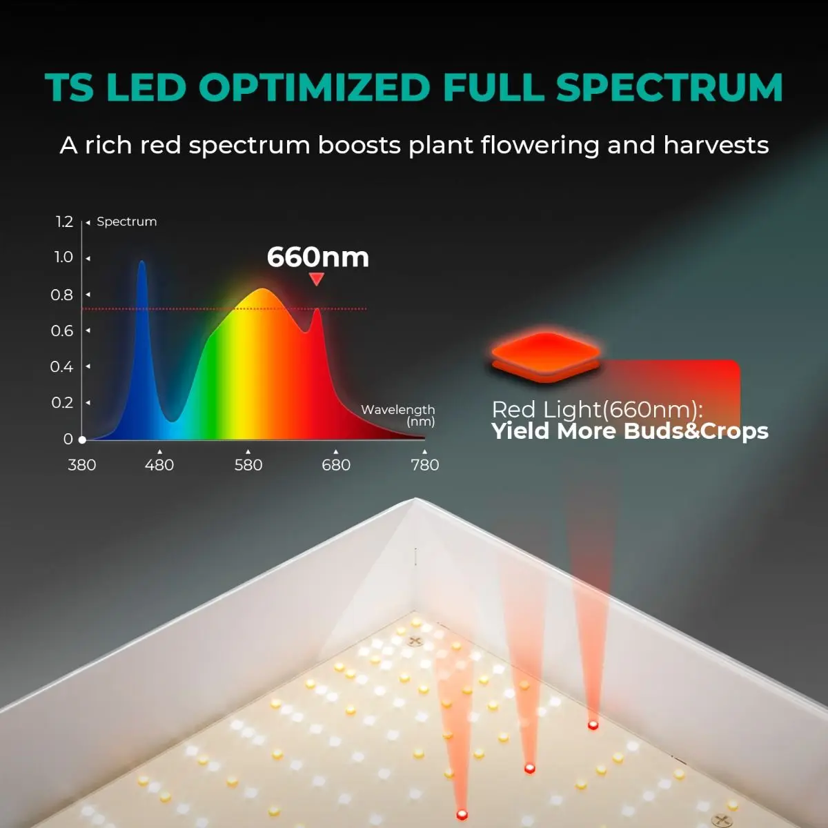 Imagem -03 - Marte Hidro-conduzido Cresce a Lâmpada ts 1000 Espectro Completo para Plantas Internas 150w Flor do Veg ir até 25 2024