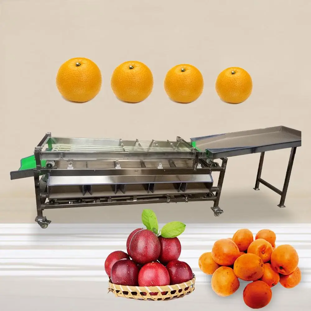 

Automatic Fruit and Vegetable Grading Machine Orange Cherry Dates Size Sorting Papaya Classifying Classifier Machine