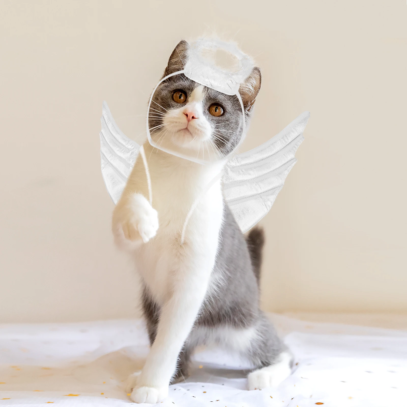 

Cute Angel Winged Cat Clothes Halloween Pet Costume Small Closure Winter Wear Adorable Outfit Exquisite Stitching