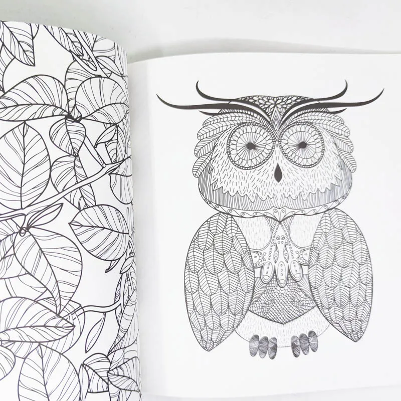 Animal Coloring Book, Coruja, Floresta, Graffiti