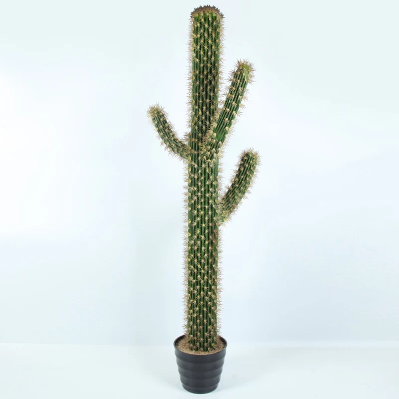 Supplier Artificial potted Decorative plants outdoor simulation cactus