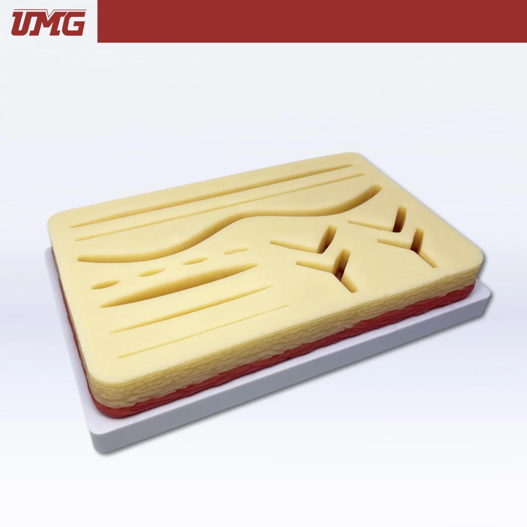 UMG Dental - Dental Suture Model Practice Pad Only Silicon - Table Type - UM-U16