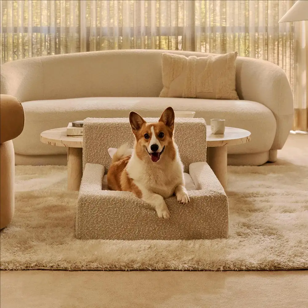 new listing foldable luxury pet sofa bed small XL size with removable cover washable foam solid animal design cute style