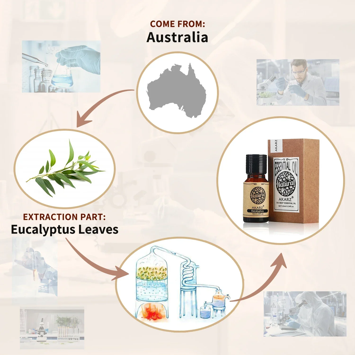 AKARZ Eucalyptus Essential Oil Beauty Care Relieve Nasal Congestion Headache Eliminate Muscle Ache Eucalyptus Oil