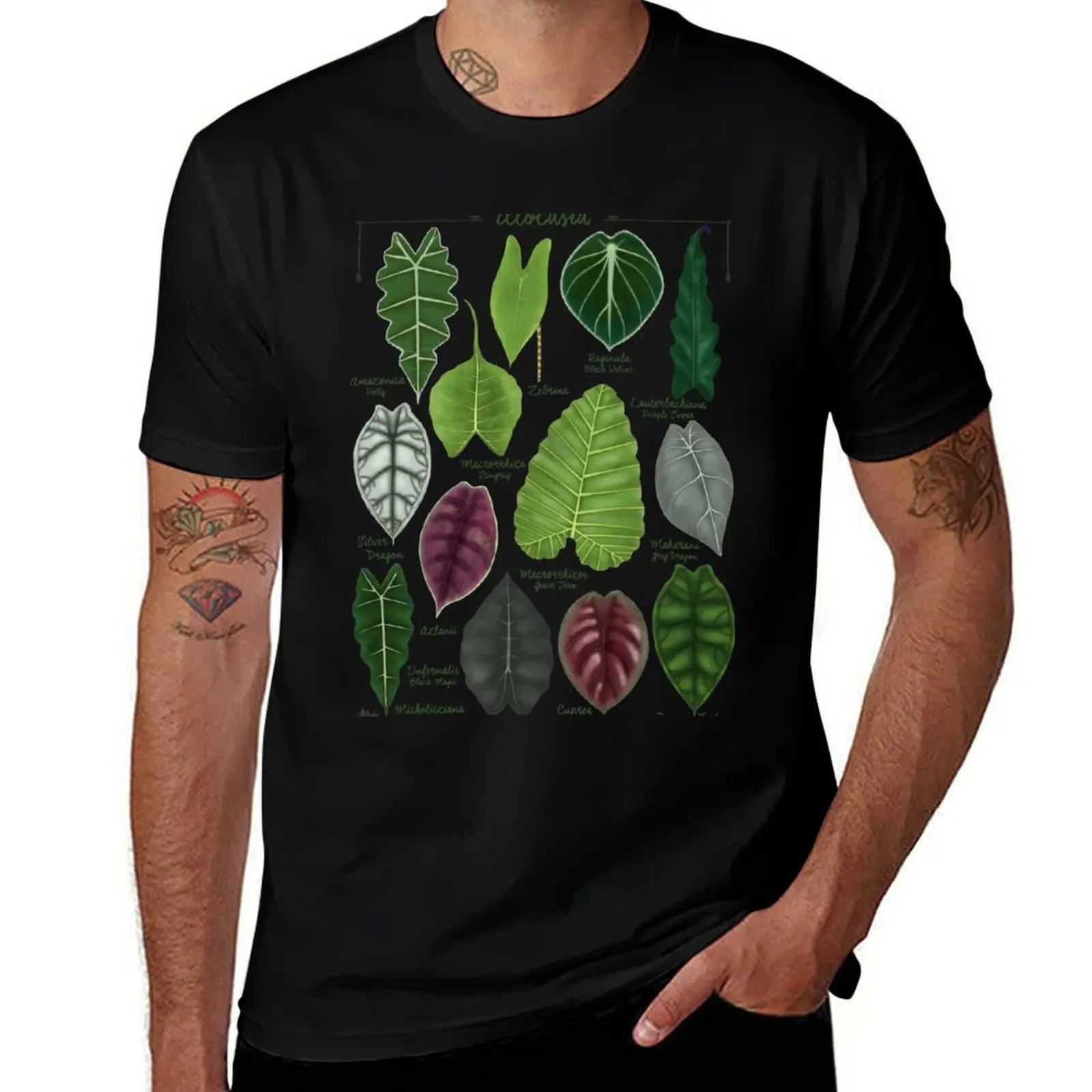 Alocasia leaf species illustration & pattern T-Shirt Casual Basic Short Sleeve T-Shirt