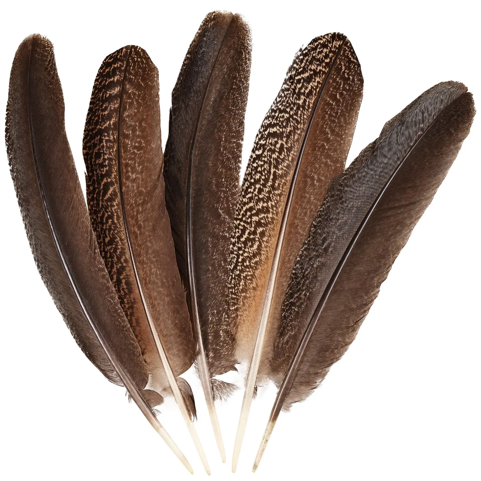 

15-40cm Natural Wild Peacock Feathers Bulk Wing Feather for Handicrafts Wedding Party Decoration Performance Feathers DIY