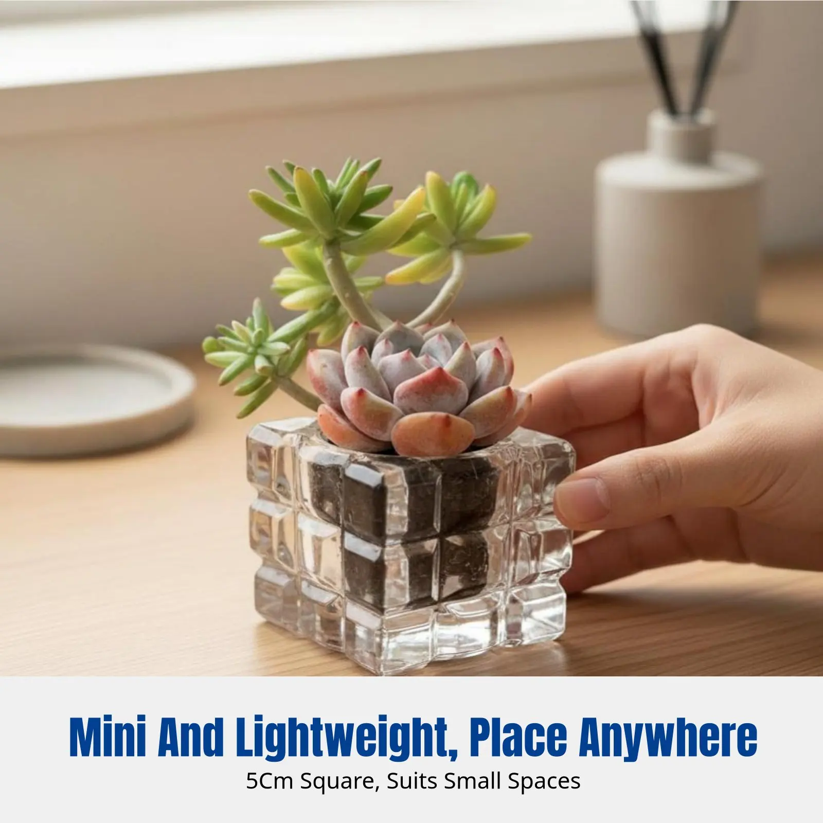 Mini Quadratischer Glas-Pflanzentopf Terrarium Vase, Transparenter Blumentopf Kerzenhalter, Heimdekoration