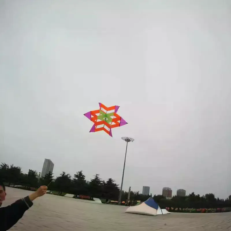 Cometa 3D estilo flor de ciruelo para niños y adultos, ideal para playa, parque, picnic, fácil de volar, juguete al aire libre de 1 pieza