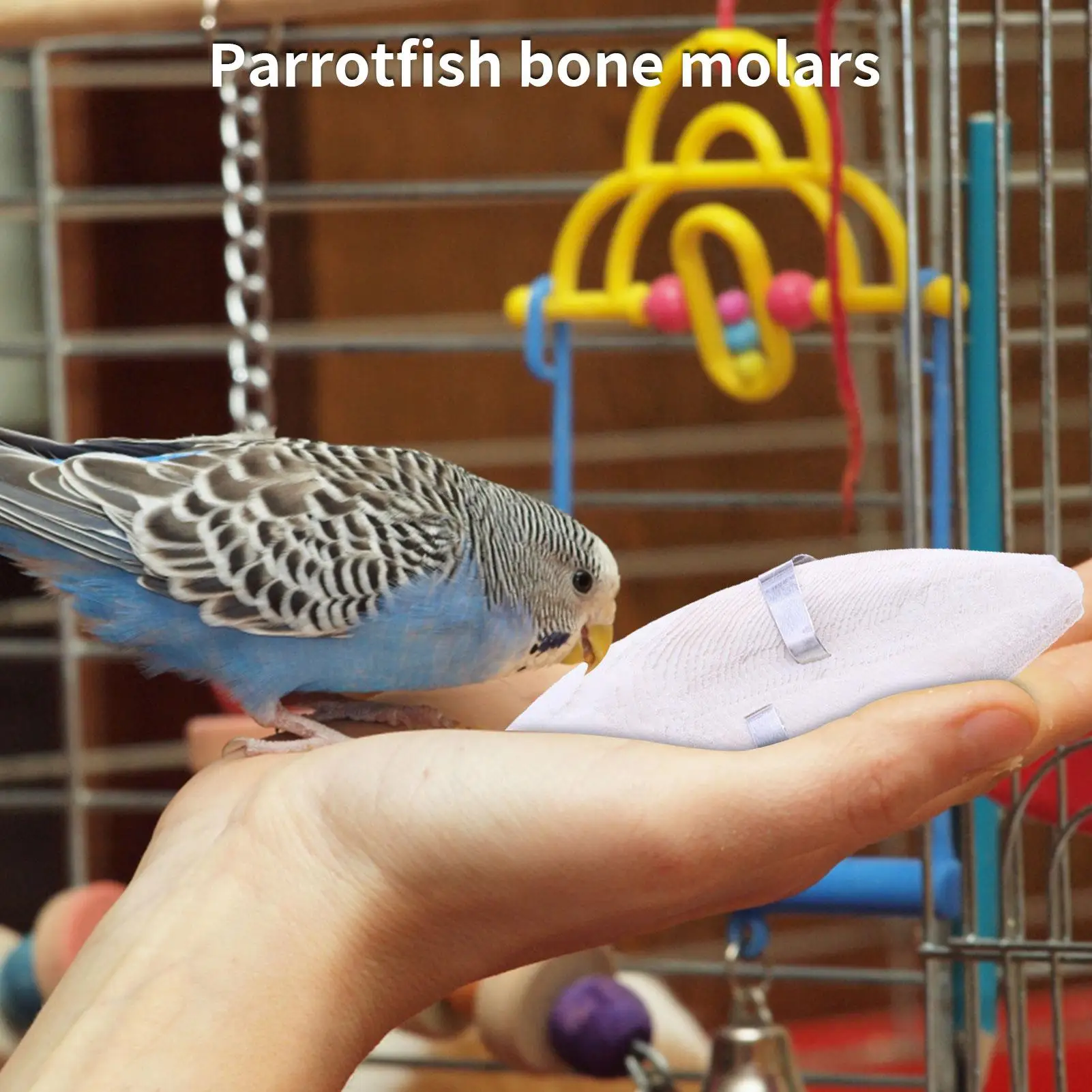 

Cuttle Bone Natural Bird Cuttlebone Bird Sharp Beaks Cuttlefish Bone Cuddle Bone Toy Chew Toys For Reptiles Snails Turtles