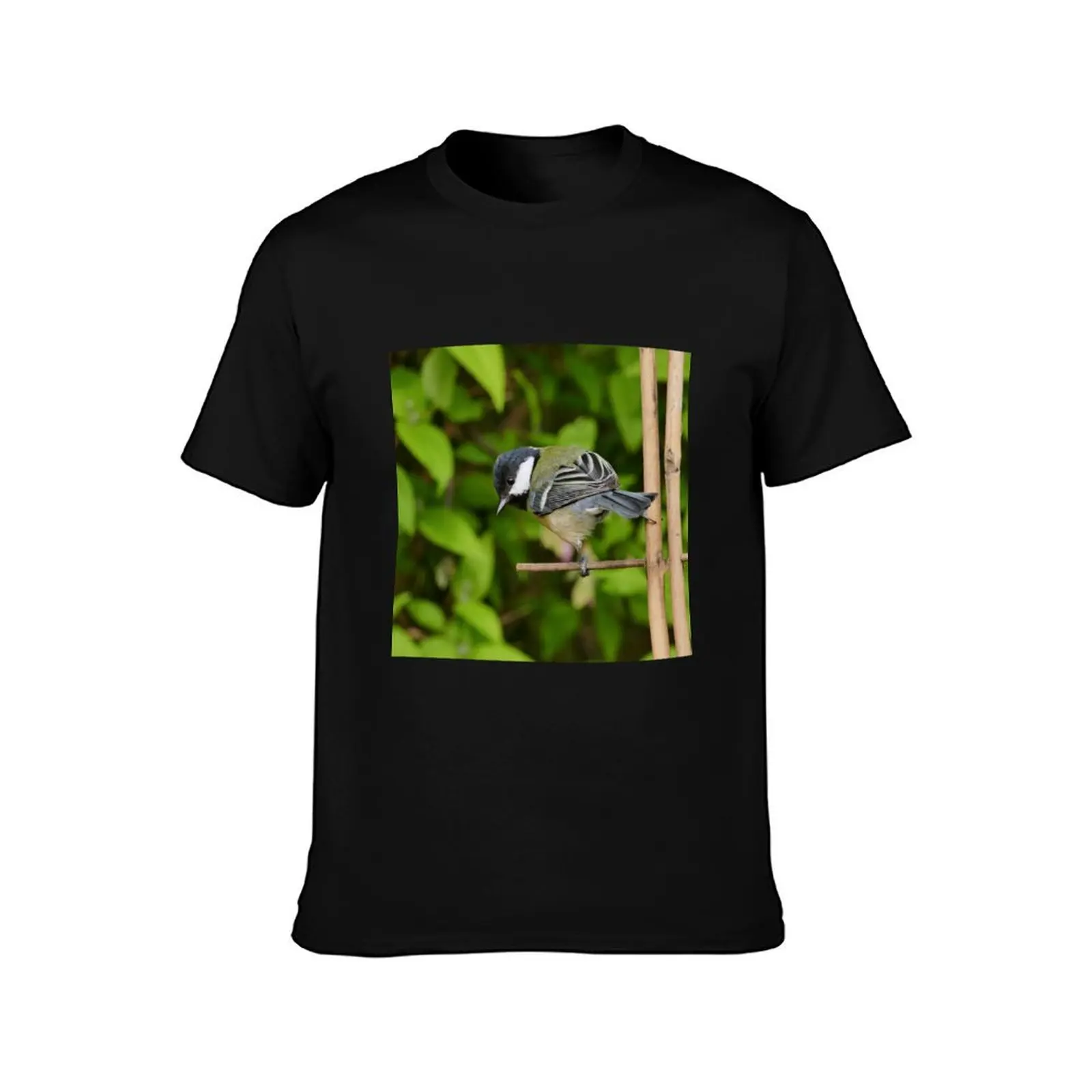 r3350/ New finition 2021: Les Oiseaux de mon Jardin Okaio Créations Olavia-Olao T-Shirt Casual Basic Street Style T-Shirt