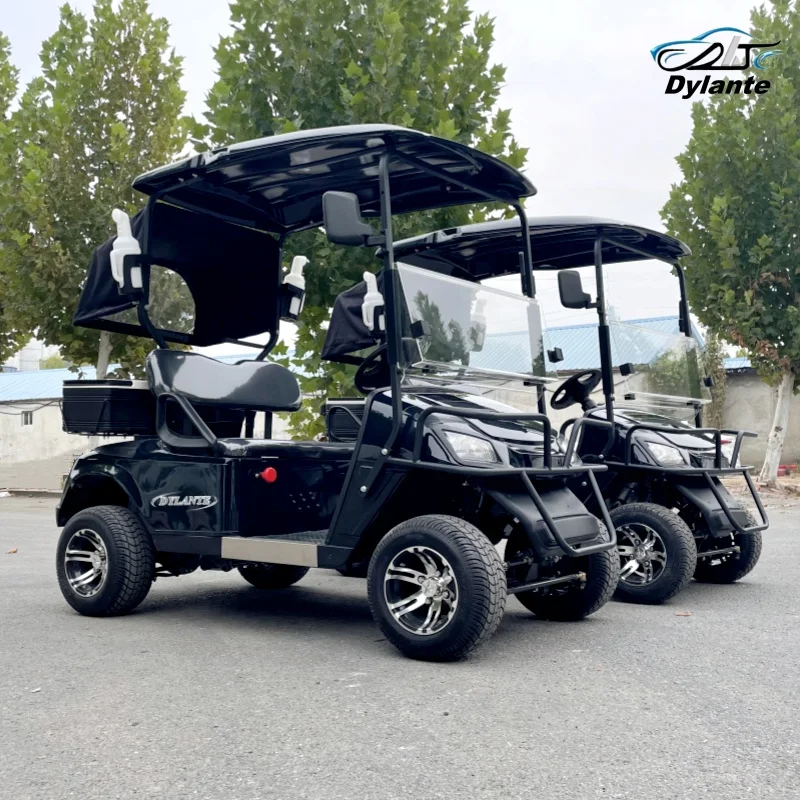 Small 2 Seater Mini Golf Cart Club Customized Cheap Electric Scooter Off-road Hunting Car for Club Golf Course Hotel School