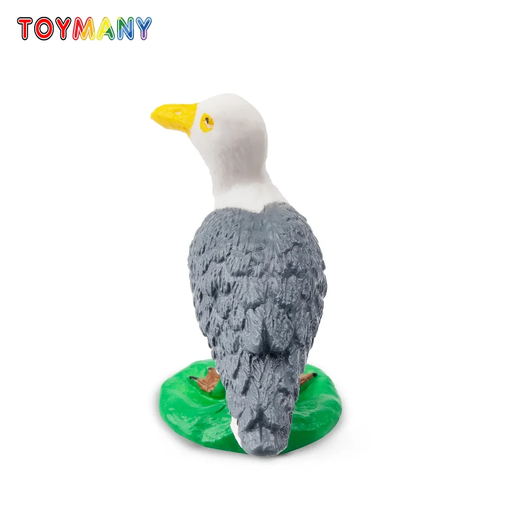 

Toymany Simulation Glaucous Gull Polar Animal Model Toy Mini Figures Dolls Action Figurines Toys Children Gift Cake Decoration
