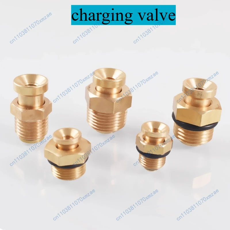 

10pcs Brass Flat Head Inflator Accessories Bell Mouth O-Ring Inflator Shaft