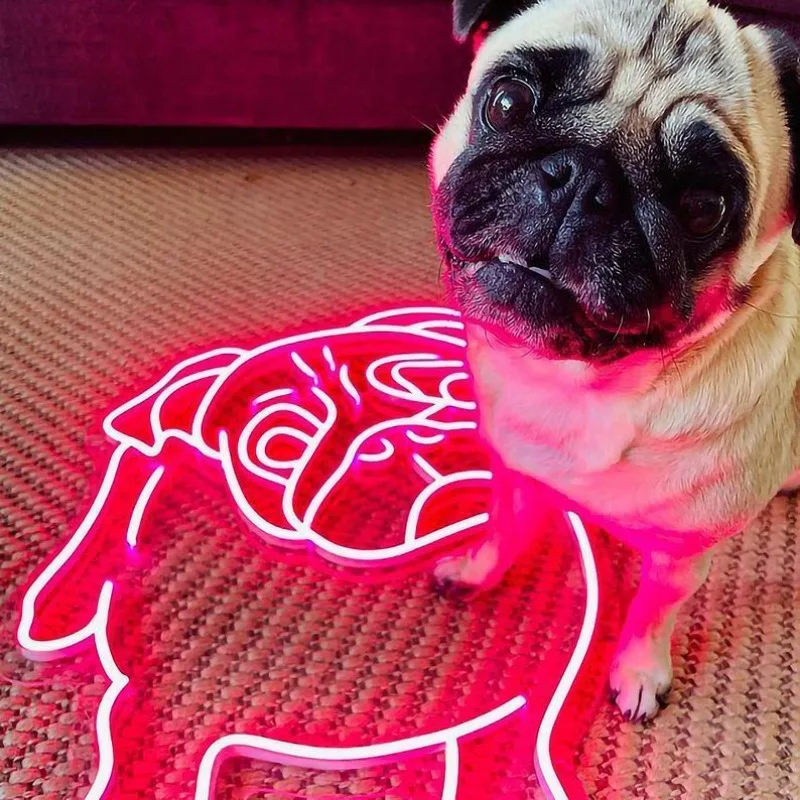 Imagem -03 - Custom Pets Neon Sign Wall Decor Pano Estético Decoração do Quarto Custom Your Dog Cat Neon Signs Sinal de Led para Quarto