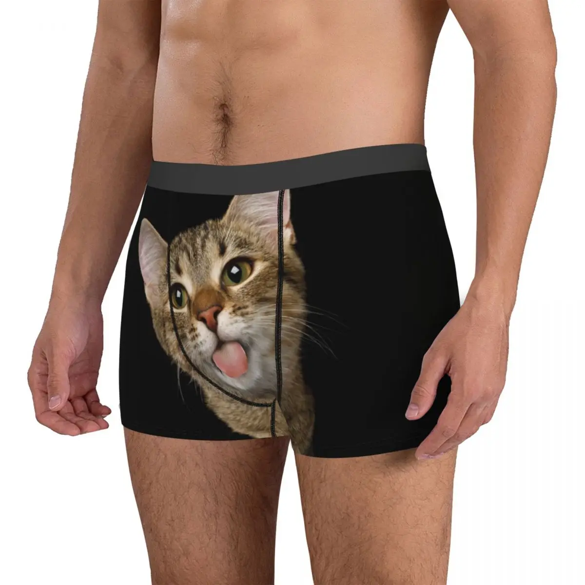 Men Portrait of Domestic Cat Underwear Cute Kittens Printed Boxer Briefs Shorts Panties Male Breathable Underpants Plus Size