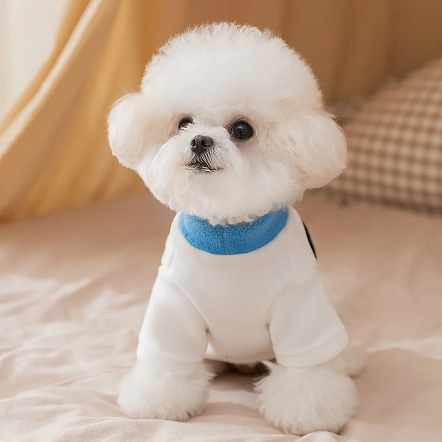 

2025 Cute Three-dimensional Ear Dog Clothes Winter Teddy Pullover Schnauzer Warm Hoodie Pet Bottoming Shirt