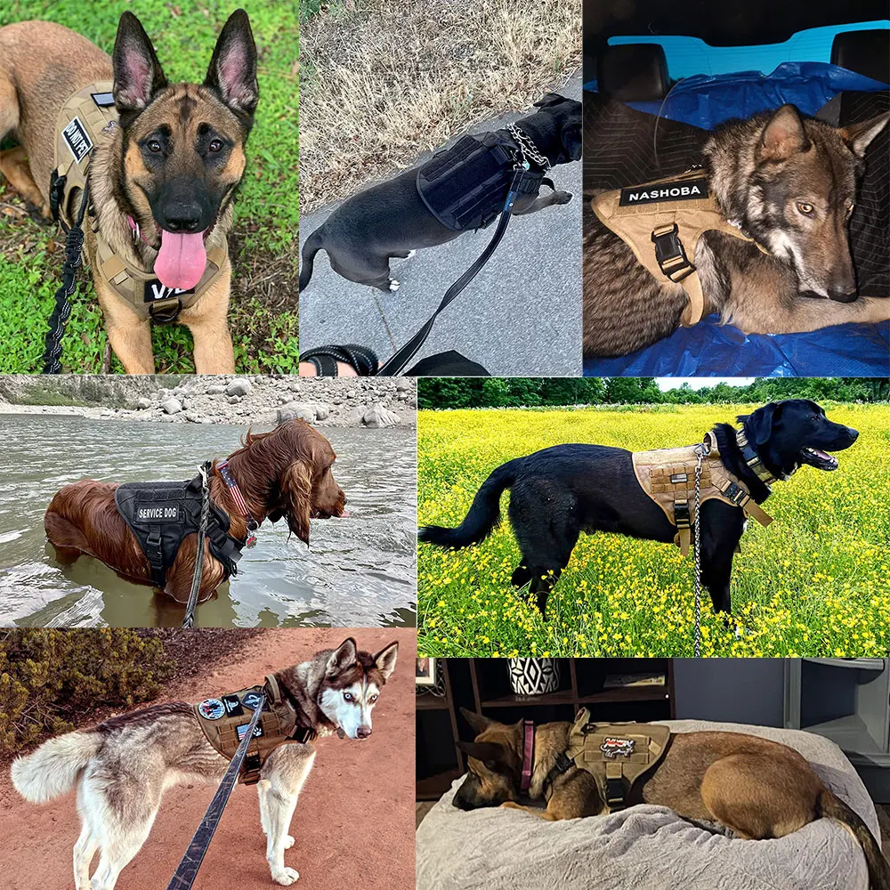 Imagem -06 - Conjunto de Coleira e Arnês para Cães Grandes Coleira Militar Colete Tático para Pet Pastor Alemão k9 Arnês para Cães Pequenos