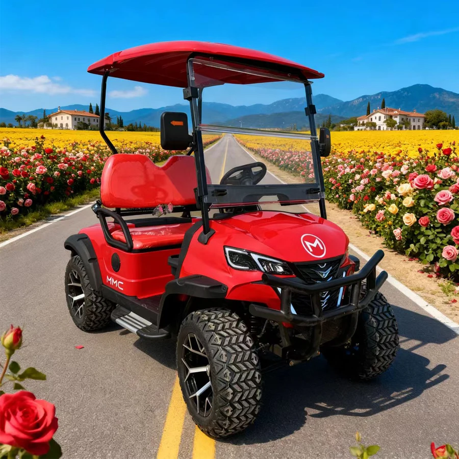 الصين MMC الموضة الكلاسيكية 2 4 6 8 مقاعد 48 فولت/60/72 فولت 4000 واط/5000/7500 واط سبائك الألومنيوم عربة جولف كهربائية