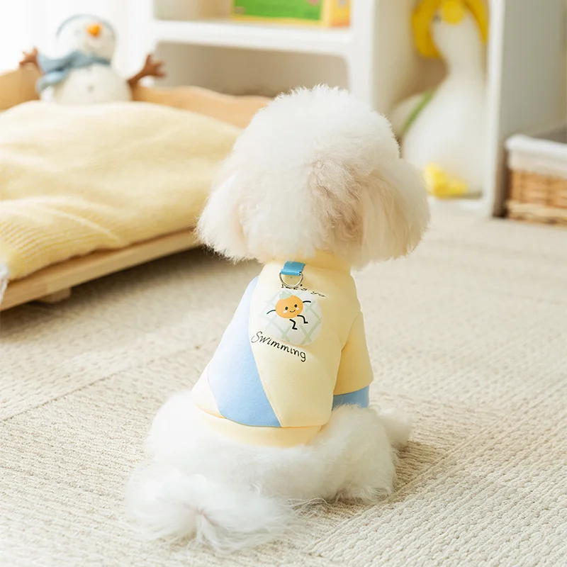 Autumn and Winter Little Dog Color Blocked Hoodie Teddy Bear Small and Medium Sized Dog Cat Thin Autumn Pet Base Shirt