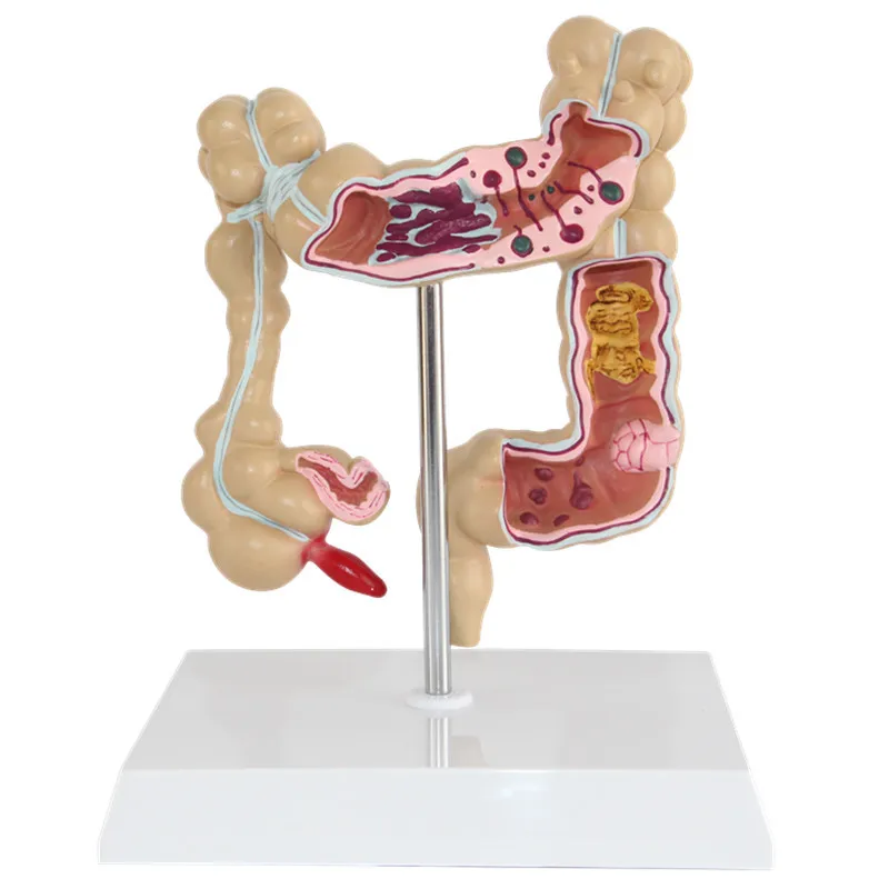 colon snake sex toy Long Colon Snake Plug Do Pump Anal Toy L main image 1