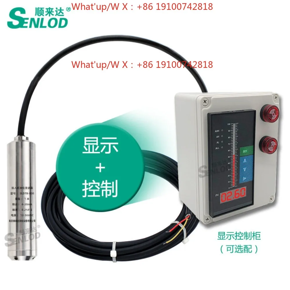 Input type liquid level gauge Hydrostatic pressure liquid level transmitter Probe water level display controller 4-20ma