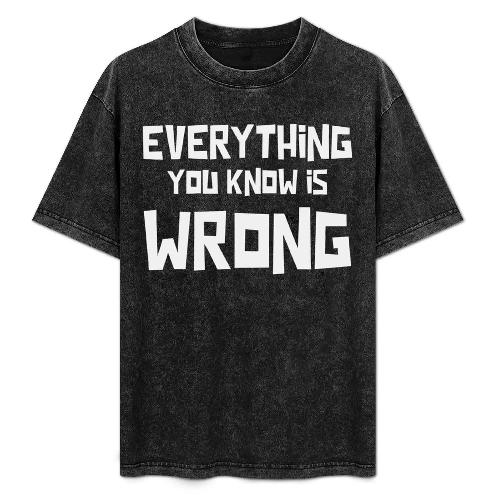 

EVERY THING YOU KNOW IS WRONG believe T-Shirt blanks Man t-shirt shirts graphic black t shirts for men