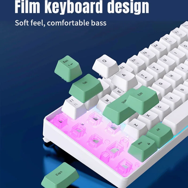 Tastiera RGB 68 tasti mini tastiere per PC da gioco computer tastiera USB per computer cablata (bianco e verde)