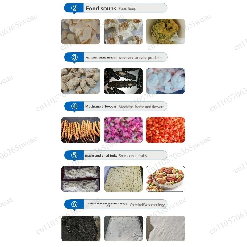 Small fruit and vegetable medicinal pet food dehydrator, freeze dryer, household commercial laboratory vacuum dryer