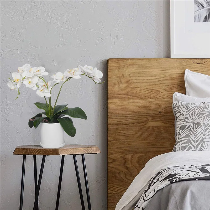 AB45 Phalaenopsis Orchids Leav - Orchid Phalaenopsis recension och pris