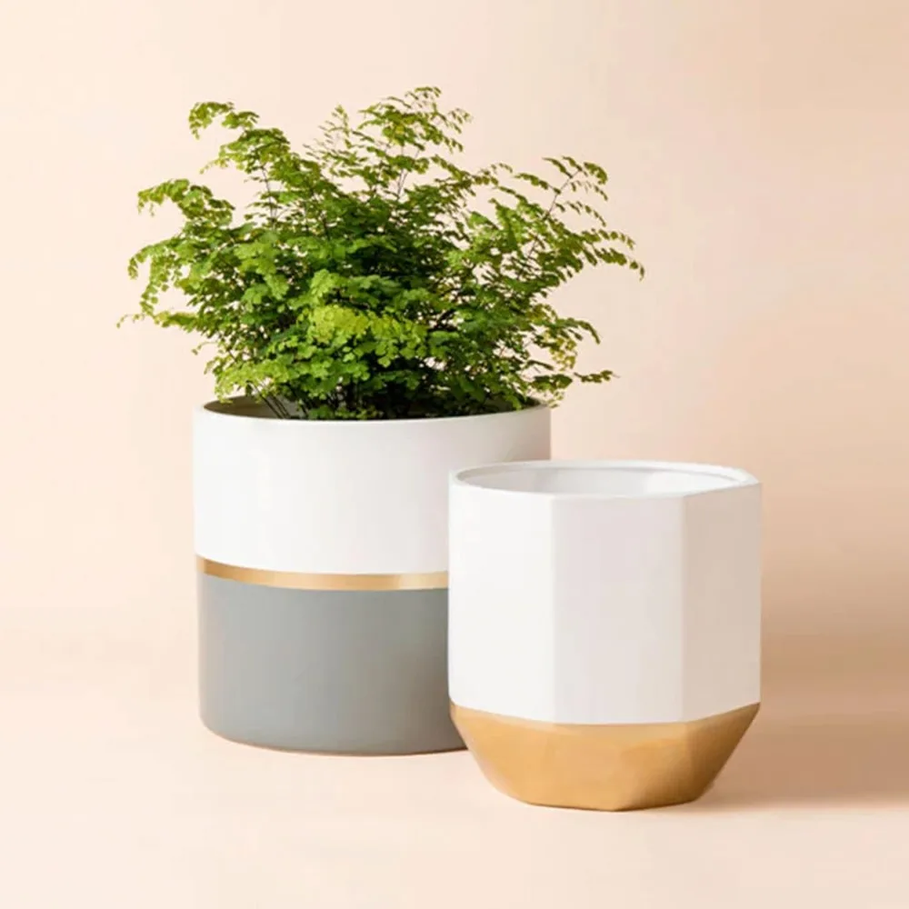 Large White Ceramic Plant Pots - Garden Planters 10 + 8.1 Inch Indoor Flower Pots, Plant Containers with Gold and Grey Detailing