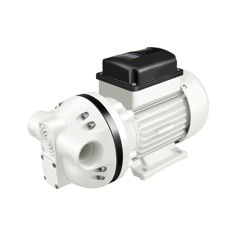 Customizable Electric Diaphragm Pump for Fast Delivery Caravan Holding Tank Suction Cleaner for Urine Adblue Clean Water
