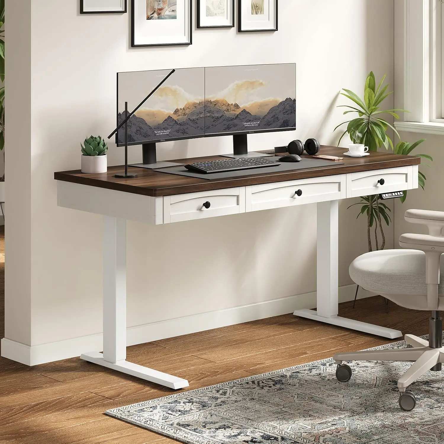 55x24 Inch Standing Desk with 3 Drawers Height Adjustable Ergonomic Office Workstation, Customized