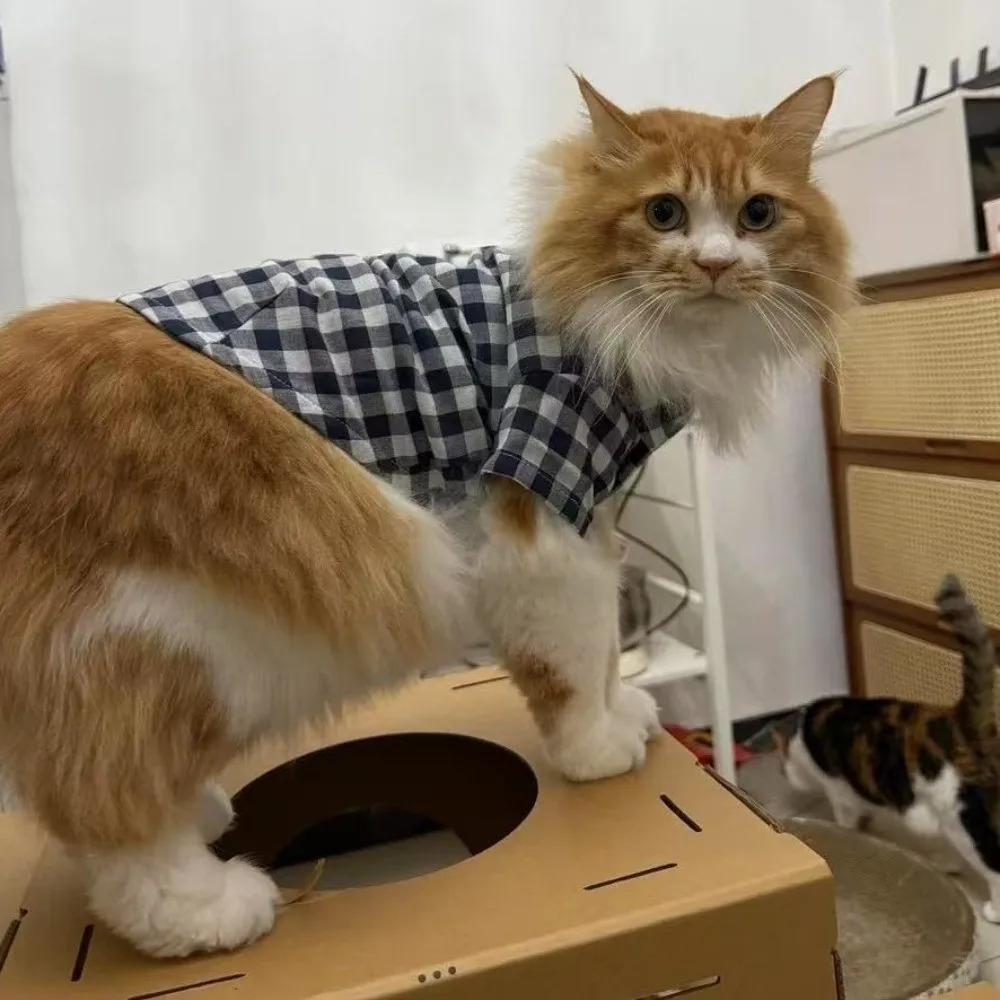 

Pet Decoration Comfortable Ins Plaid Shirts Pet Clothing Elegant Cute Dogs Pajamas Costume Fashion Cat Dog Clothes Proposal