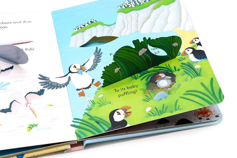 Usborne Peep Inside The Sea shore English Learning Flap Picture Book Educational 3D Flap Picture Books Children Reading Book